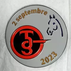 MÉDAILLES RONDES CENTRE DE ROSETT